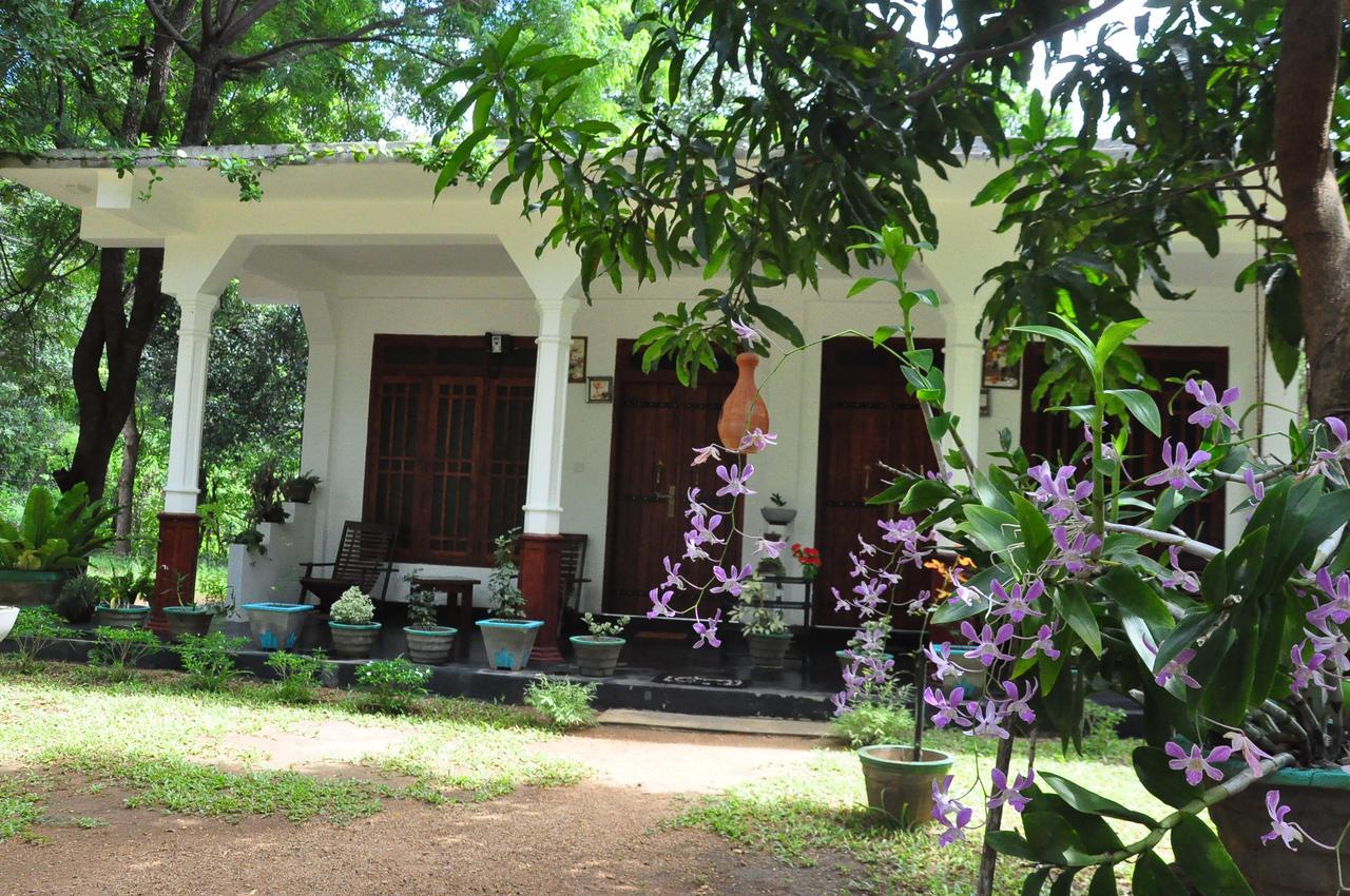 sigiriya flower guest Dış mekan fotoğraf